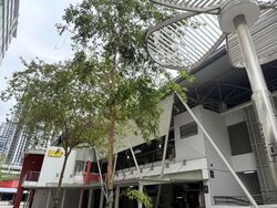 Lorong 1 Toa Payoh (D12), Shop House #531608251